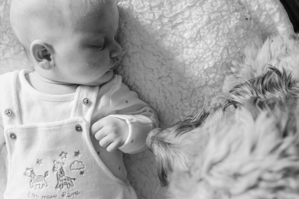 A serene black and white image of a baby sleeping peacefully next to a dog, highlighting their close bond. The baby is dressed in a light onesie with embroidered animals, while the dog's fur is soft and fluffy, creating a cozy atmosphere.